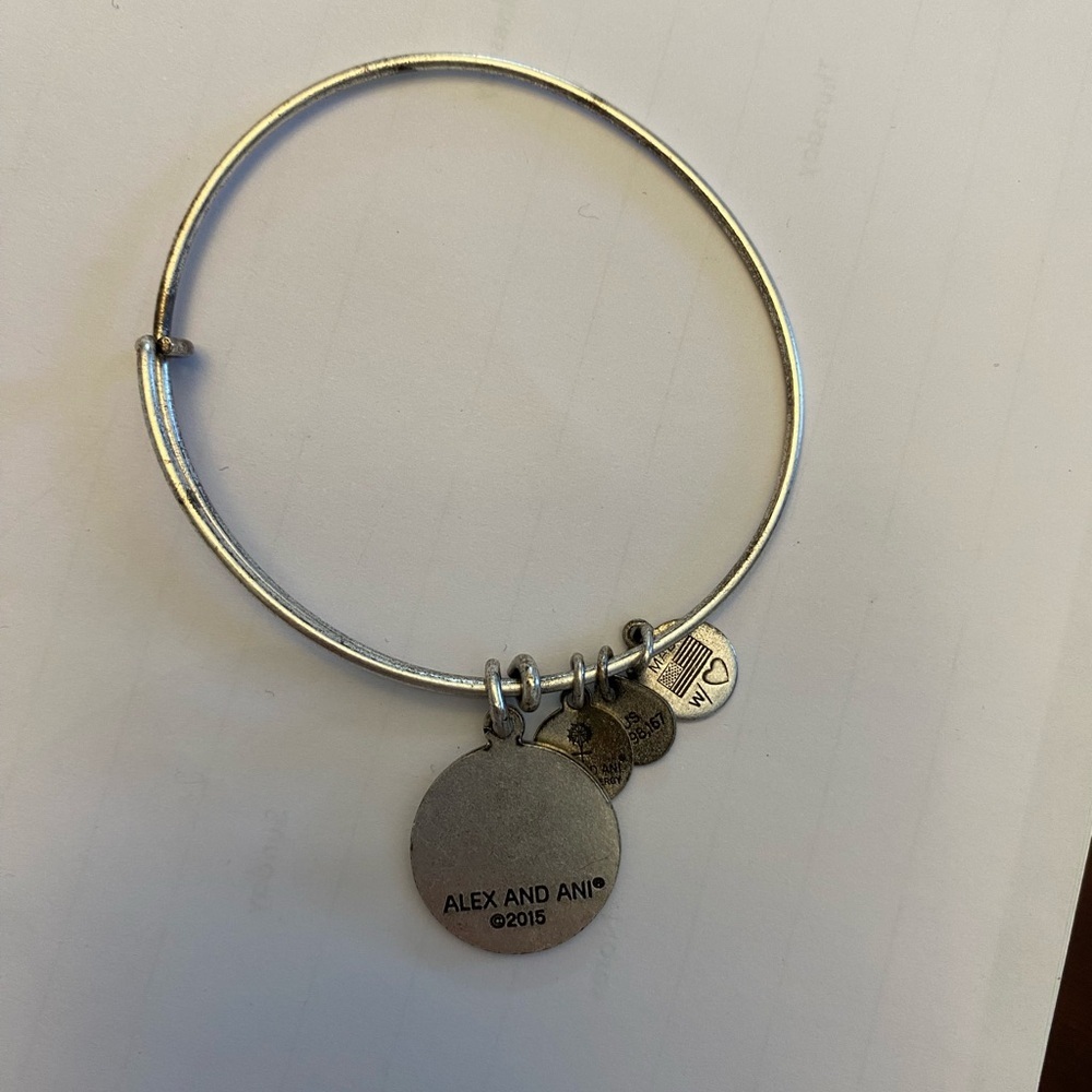 Alex and Ani Rafaellian Silver Hand in Hand Motherhood Adjustable Charm Bracelet - Picture 3 of 4